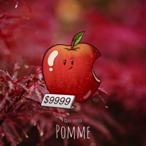 Free-spirited-fruits-légumes-saison-bio-responsable-écologie-novembre-pomme