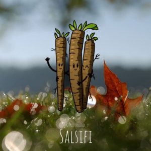Free-spirited-fruits-légumes-saison-bio-responsable-écologie-novembre-salsifis